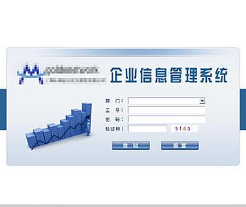 企业信息系统
